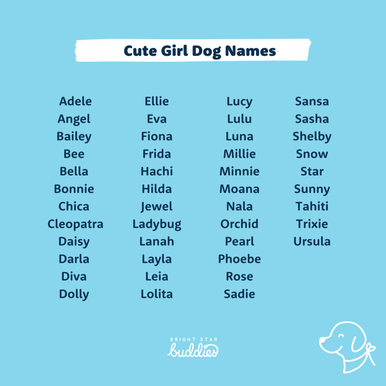 Top 200 Dog Names - Cute Dog Names You'll Love - BSB