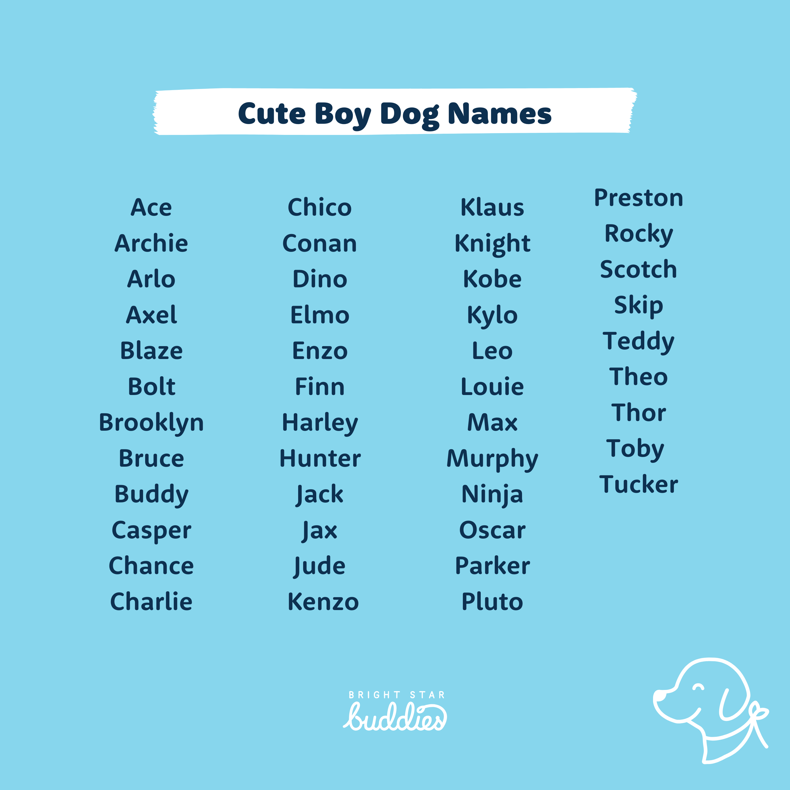 Top 200 Dog Names - Cute Dog Names You'll Love - BSB