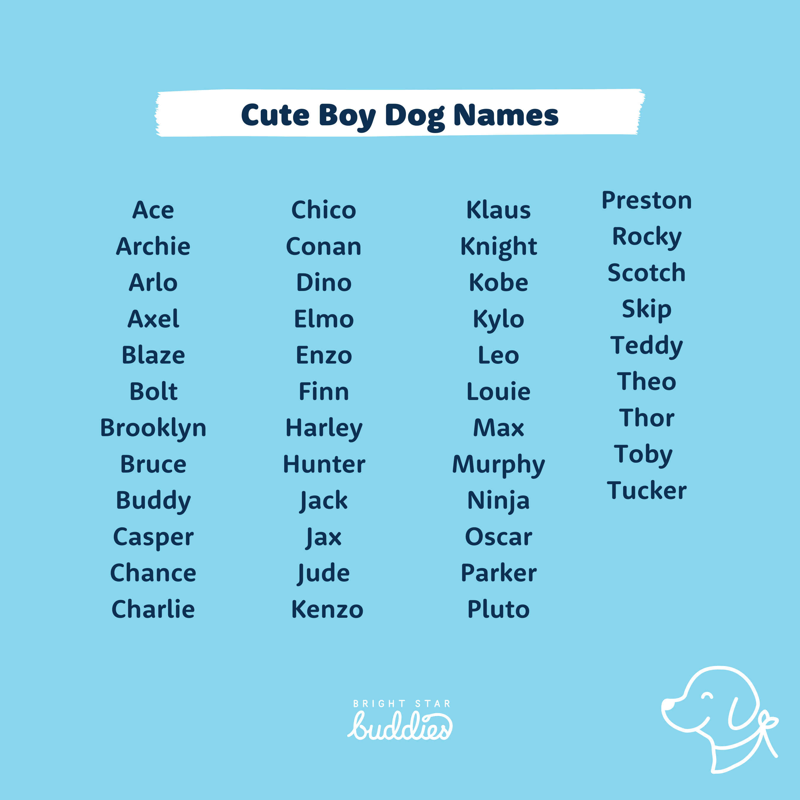 Top 200 Dog Names Cute Dog Names You ll Love BSB