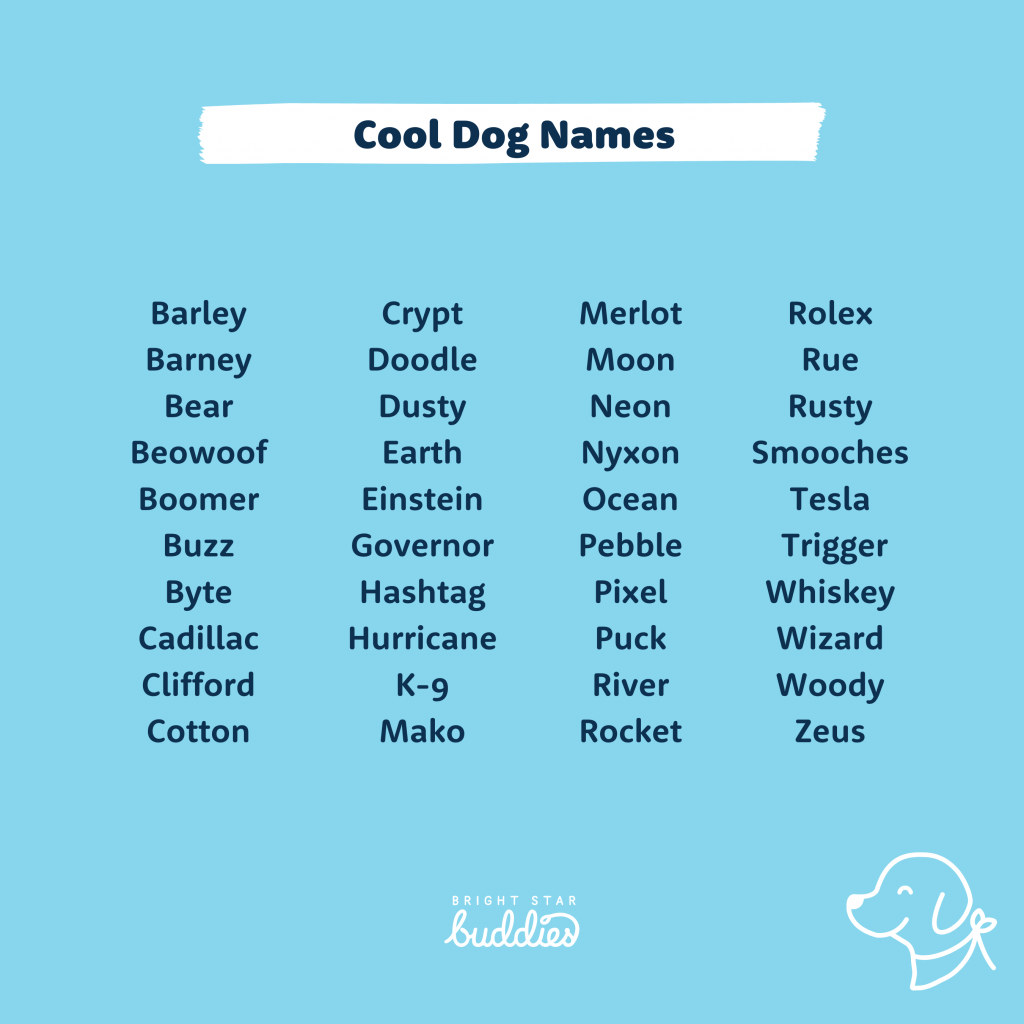 Top 200 Dog Names Cute Dog Names You ll Love BSB