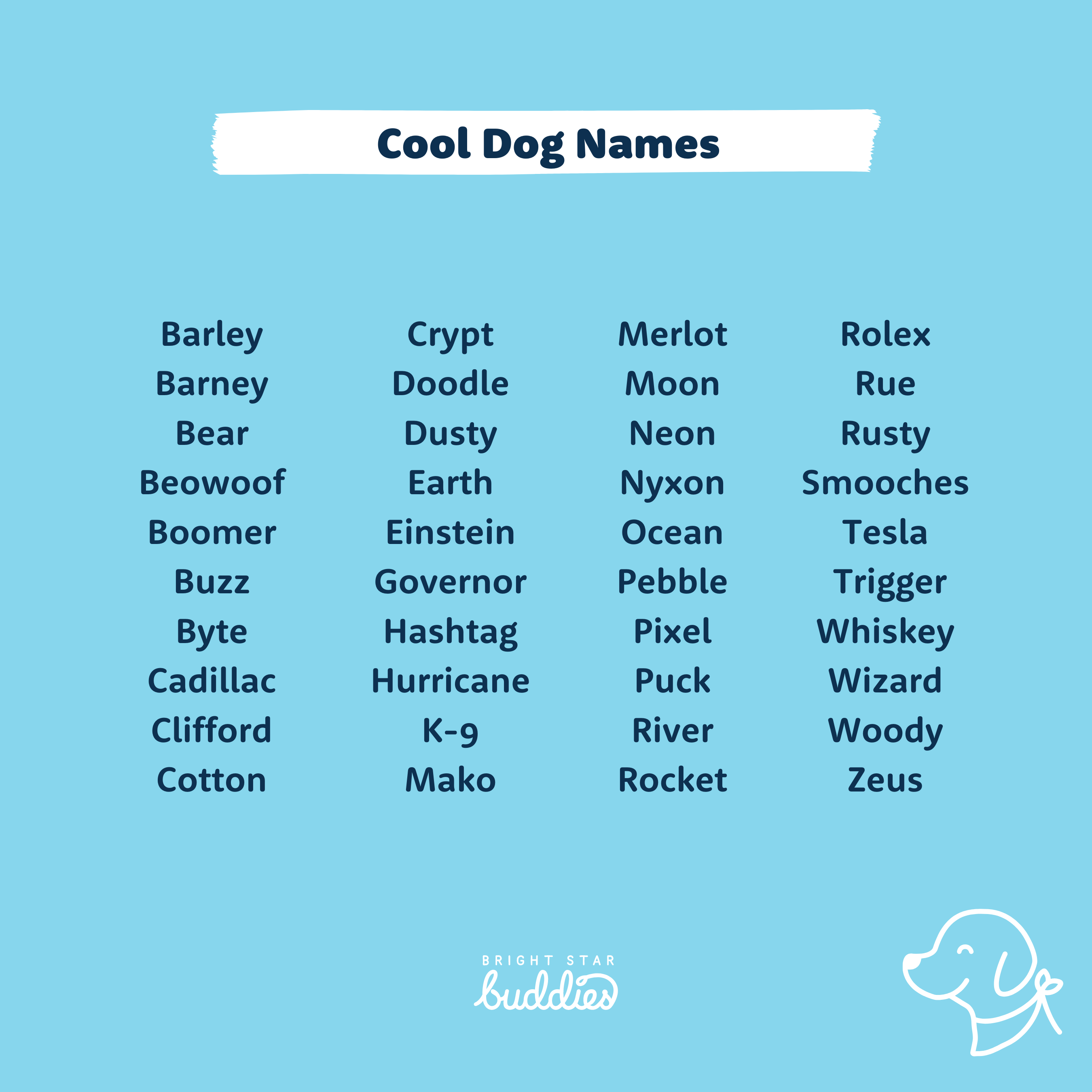 Top 200 Dog Names - Cute Dog Names You\'ll Love - BSB