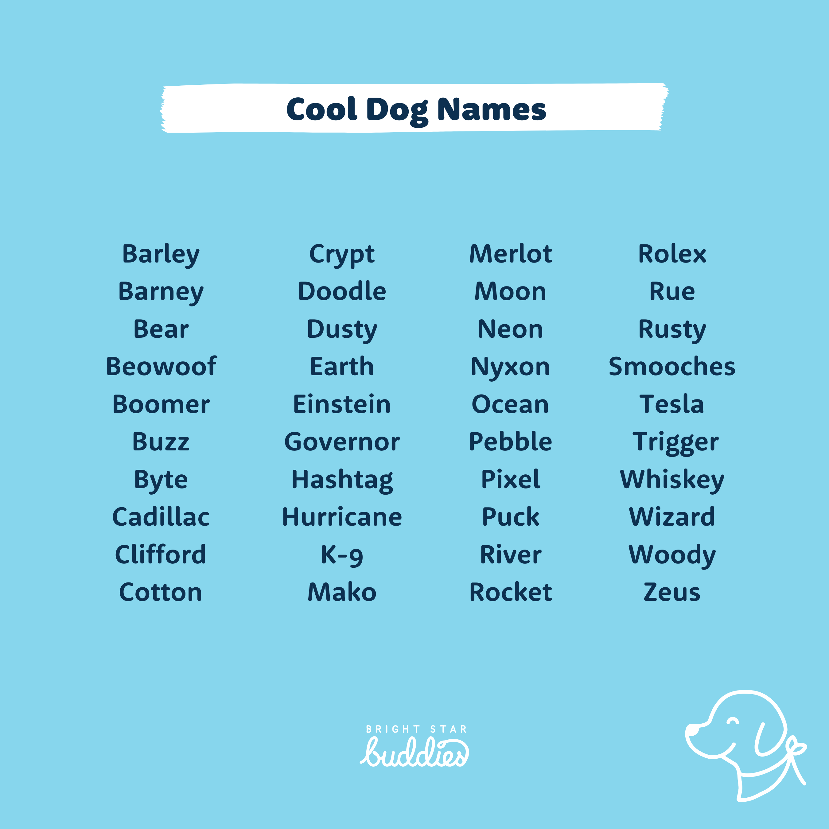 Top 200 Dog Names Cute Dog Names You ll Love BSB