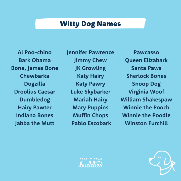 Top 200 Dog Names - Cute Dog Names You'll Love - BSB