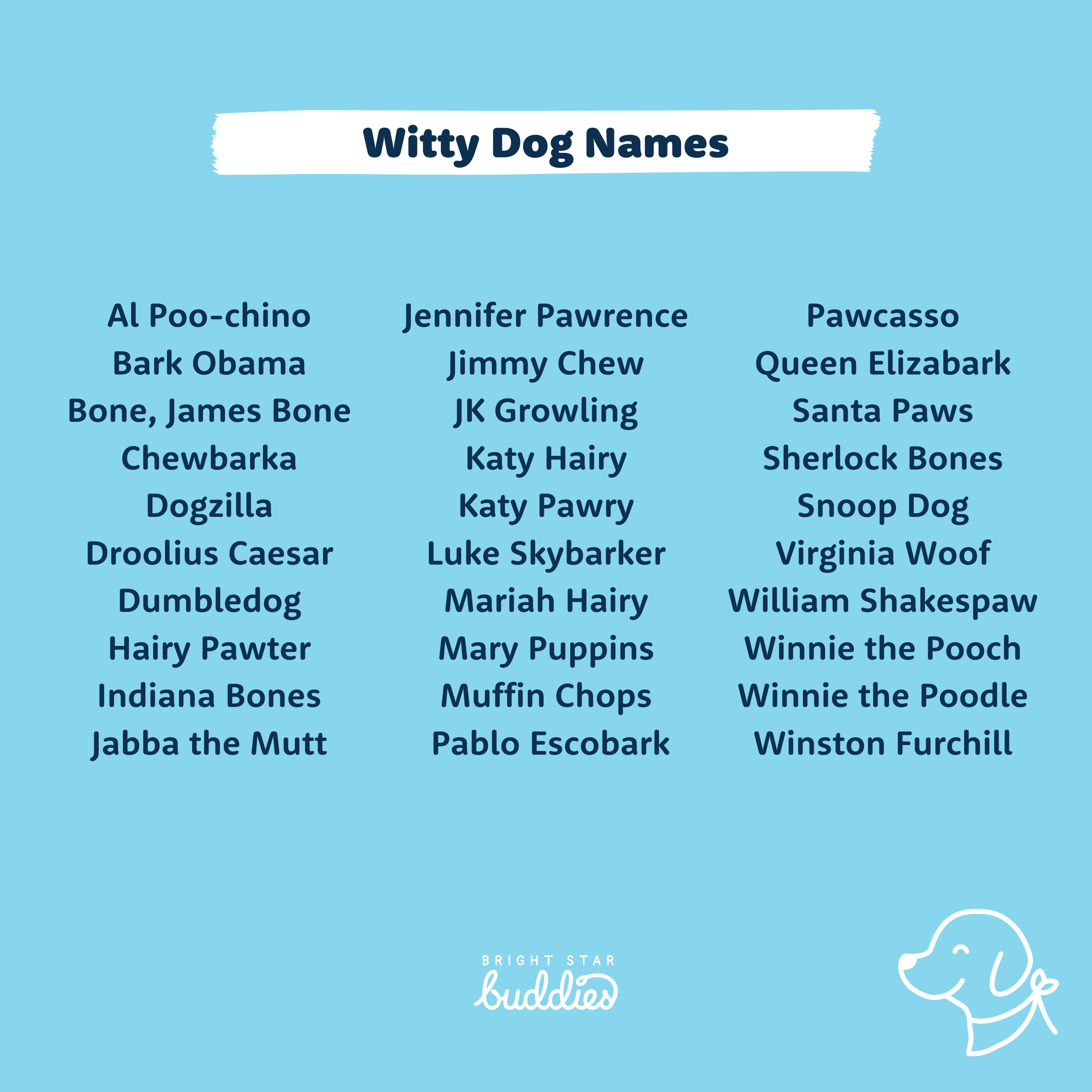 Top 200 Dog Names - Cute Dog Names You\'ll Love - BSB
