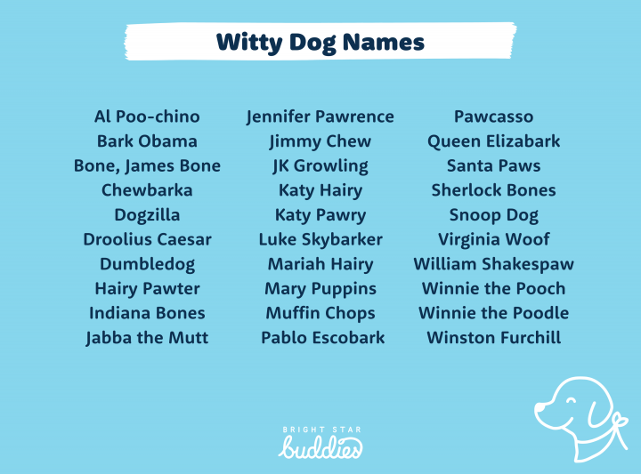 cute-dog-names-for-a-sausage-dog-bsb