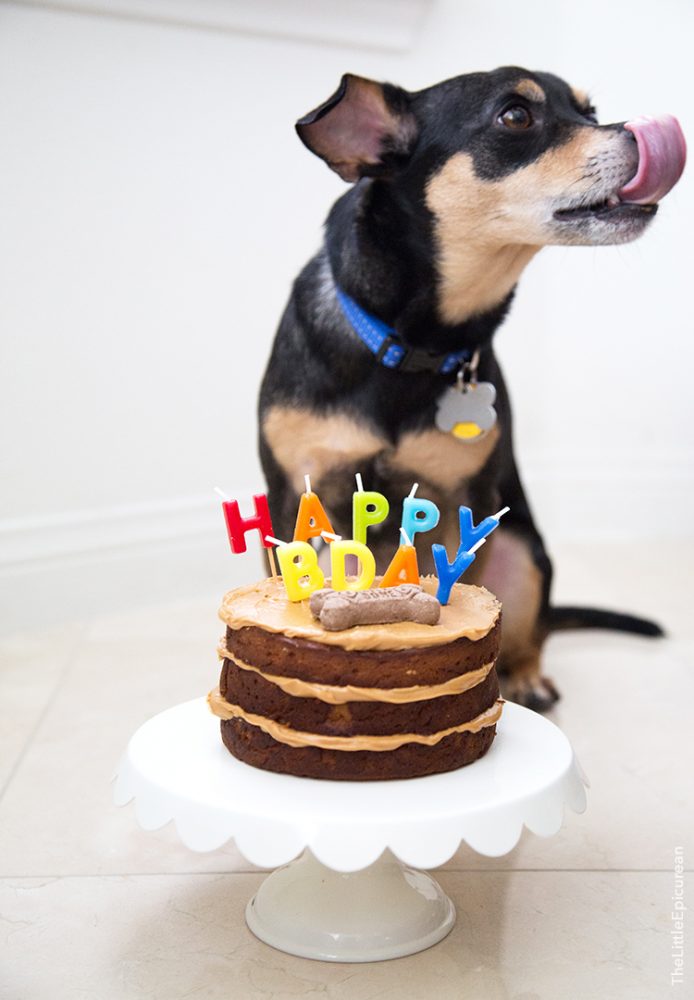 Dog Cake Recipes- Top 10 Easy Dog Birthday Cake Ideas - BSB