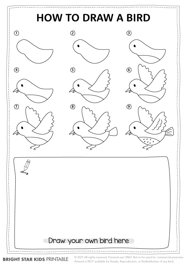 how to draw a simple bird for kids