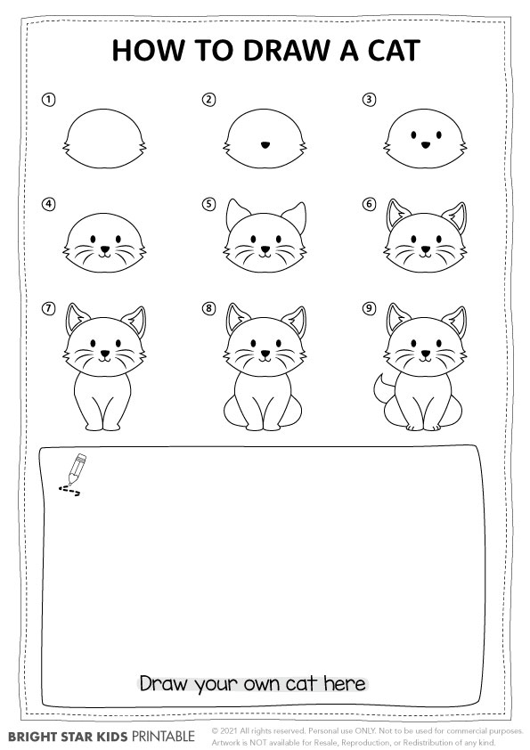 easy cat drawings steps